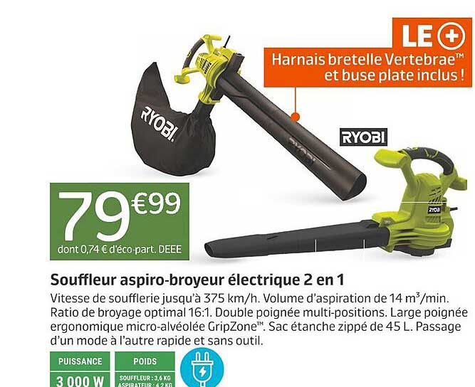 Souffleur aspiro-broyeur électrique 2 en 1