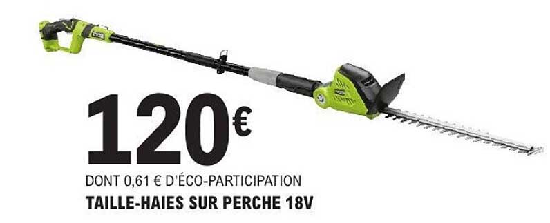 TAILLE-HAIES SUR PERCHE 18V