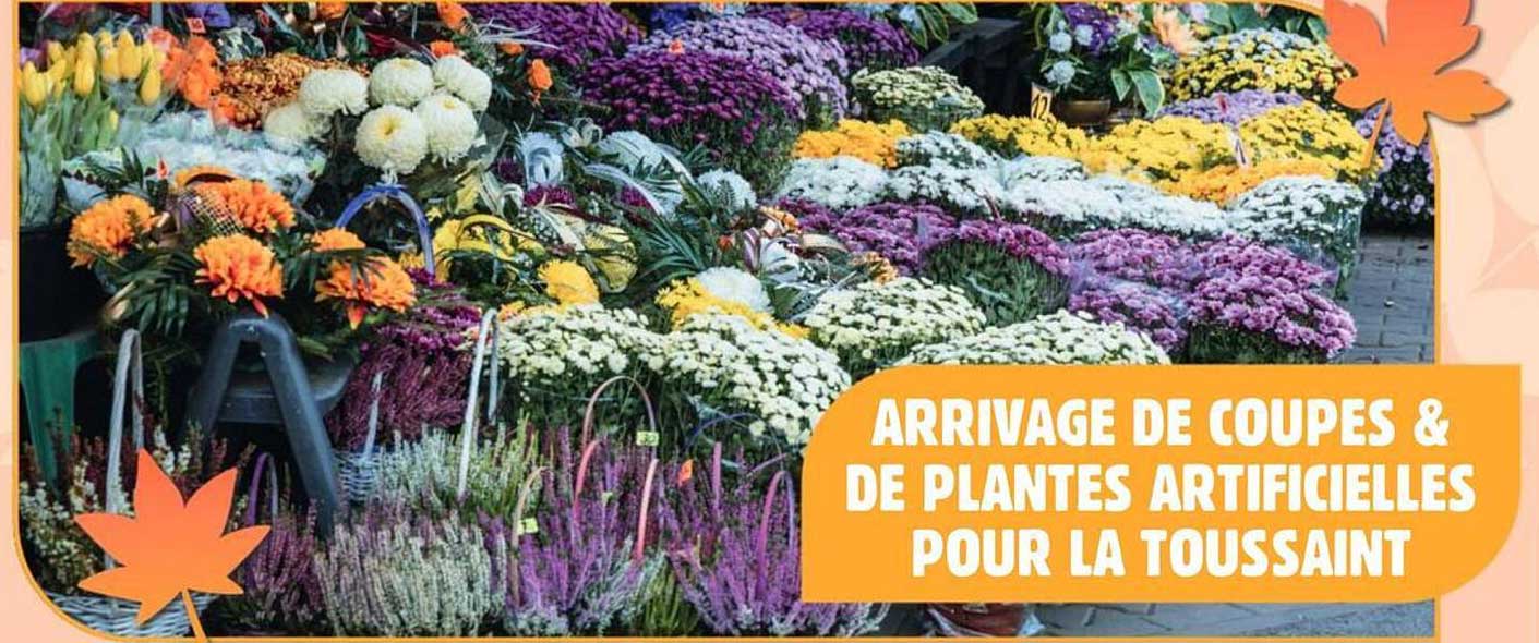 ARRIVAGE DE COUPES & DE PLANTES ARTIFICIELLES POUR LA TOUSSAINT