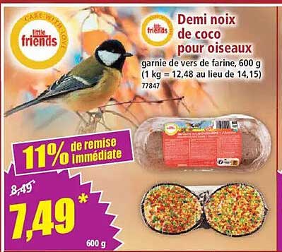 Demi noix de coco pour oiseaux