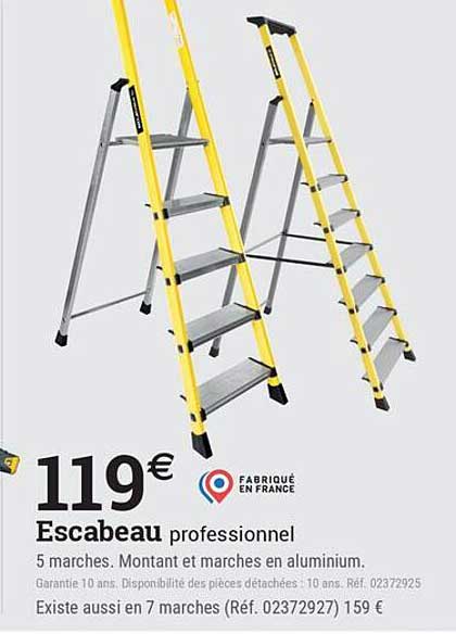Escabeau professionnel