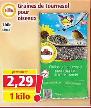 Graines de tournesol pour oiseaux