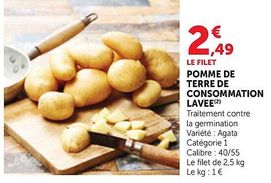 LE FILET POMME DE TERRE DE CONSOMMATION LAVEE(2)