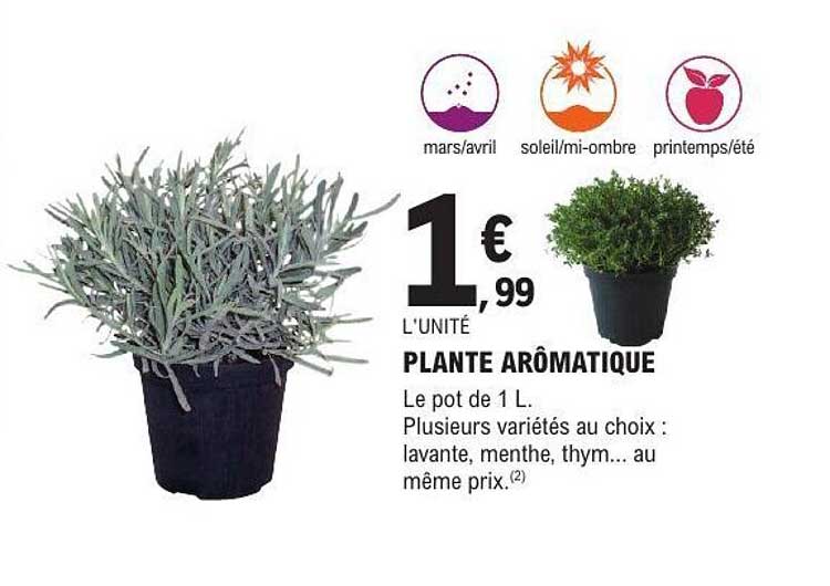 Sitemapcdatahttpsshopinf Inetcomplante Aromatique 7 Lettres