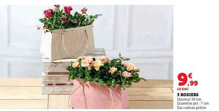 3 ROSIERS