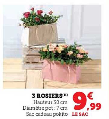 3 ROSIERS(S(H)