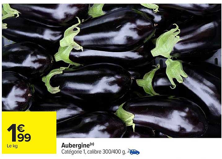 Aubergine