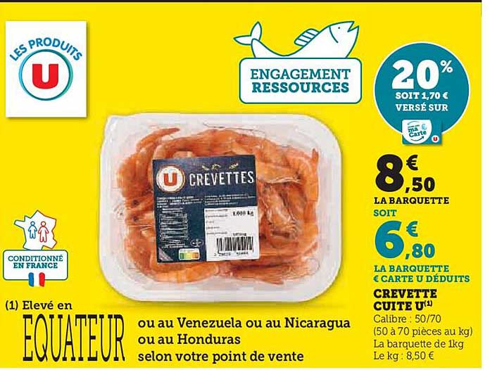 CREVETTE CUITE U