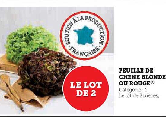 FEUILLE DE CHENE BLONDE OU ROUGE(2)