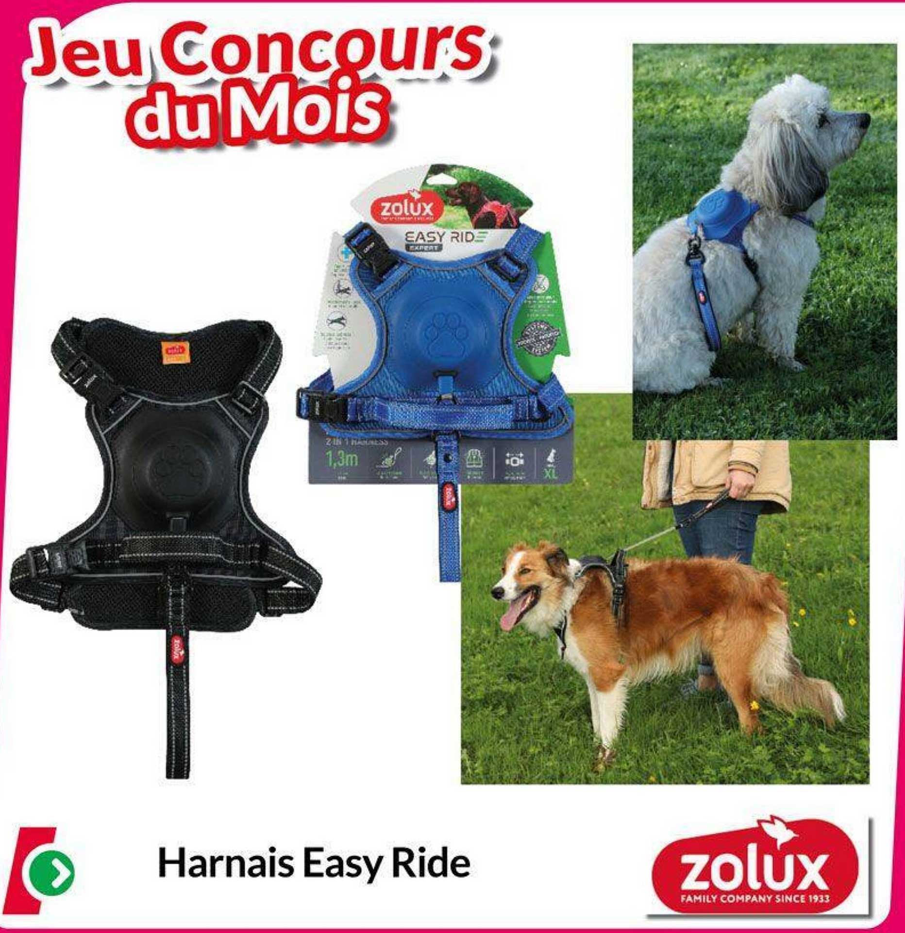 Harnais Easy Ride