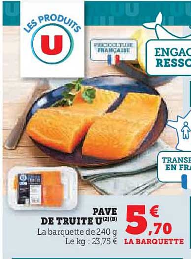 Pavé de Truite U