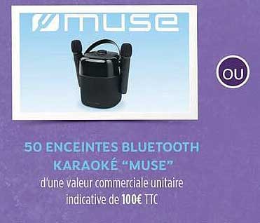 50 ENCEINTES BLUETOOTH KARAOKÉ “MUSE”