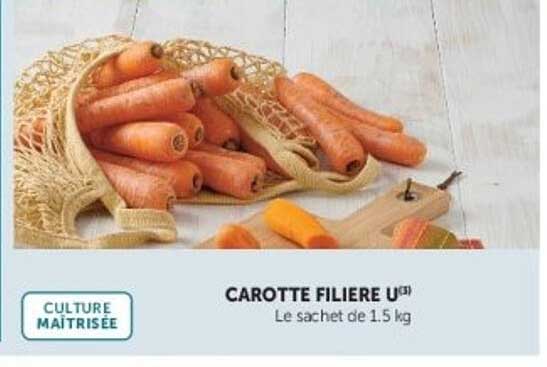 CAROTTE FILIÈRE U