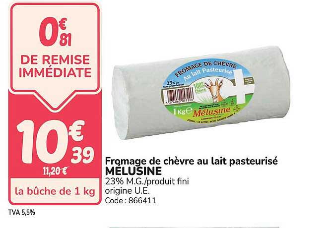 Fromage de chèvre au lait pasteurisé MELUSINE