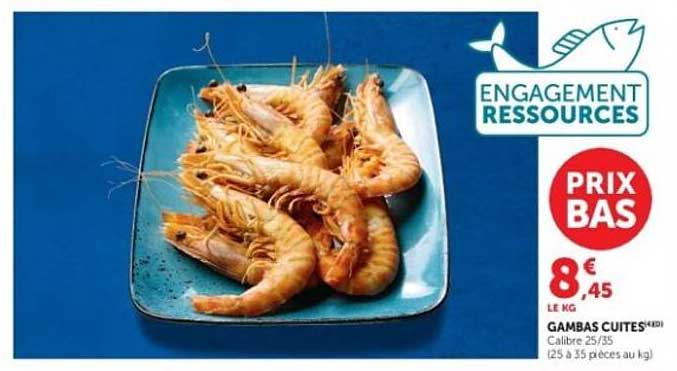 GAMBAS CUITES