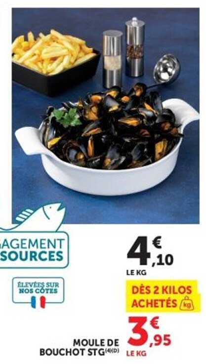 MOULE DE BOUCHOT STG