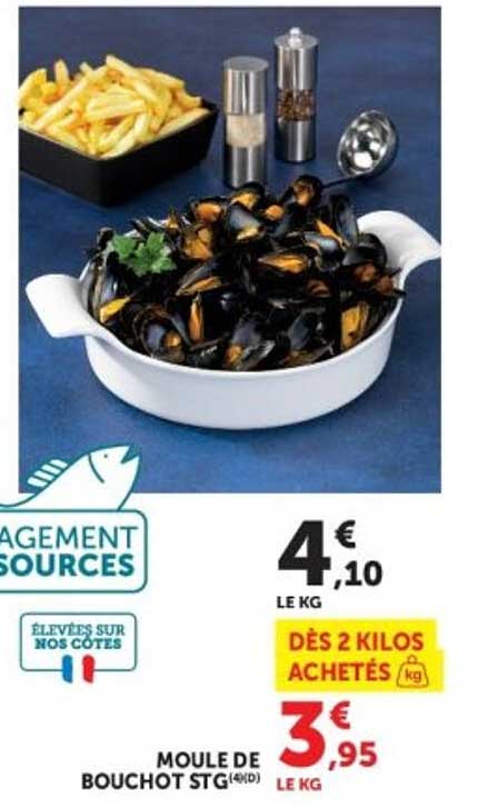 MOULE DE BOUCHOT STG(400g)