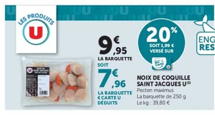 NOIX DE COQUILLE SAINT JACQUES U