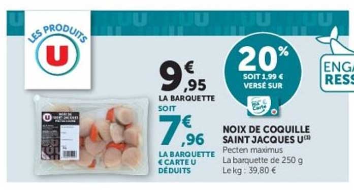NOIX DE COQUILLE SAINT JACQUES U
