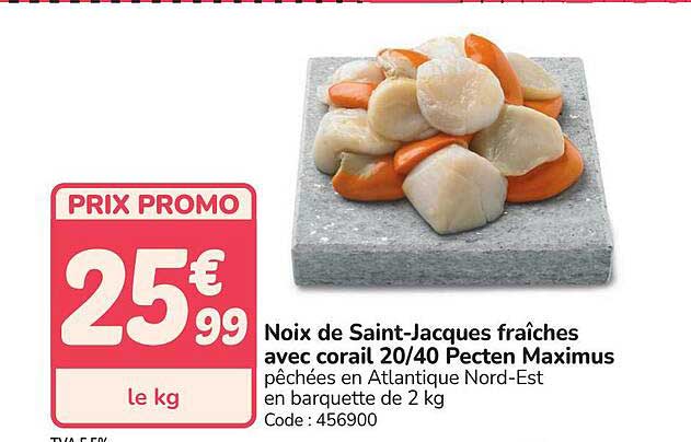Noix de Saint-Jacques fraîches avec corail 20/40 Pecten Maximus
