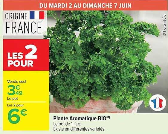 Plante Aromatique BIO(h)