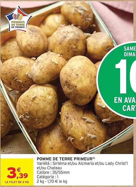 POMME DE TERRE PRIMEUR