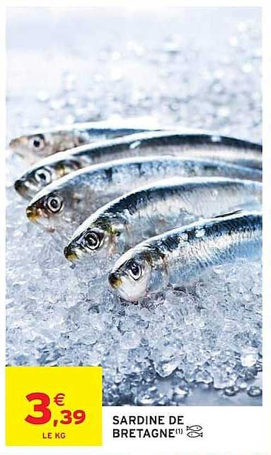 SARDINE DE BRETAGNE