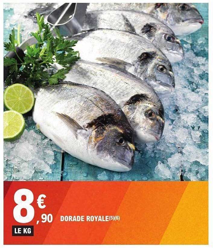 DORADE ROYALE(5)(6)