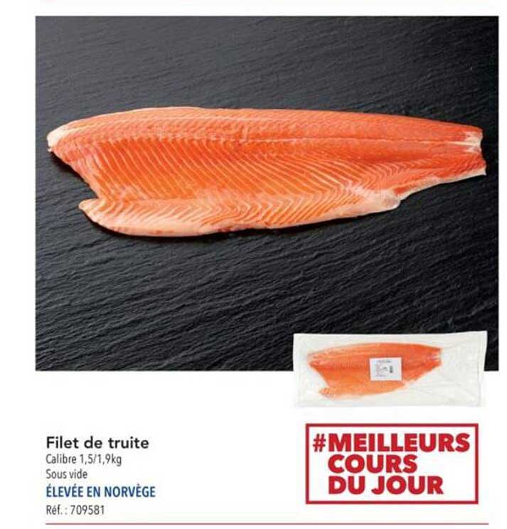 Filet de truite