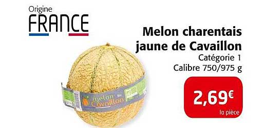 Melon charentais jaune de Cavaillon