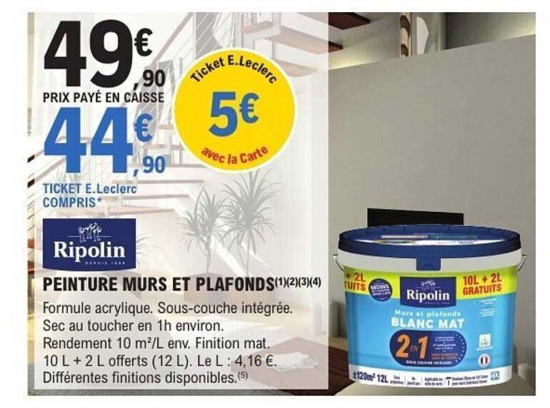 PEINTURE MURS ET PLAFONDS