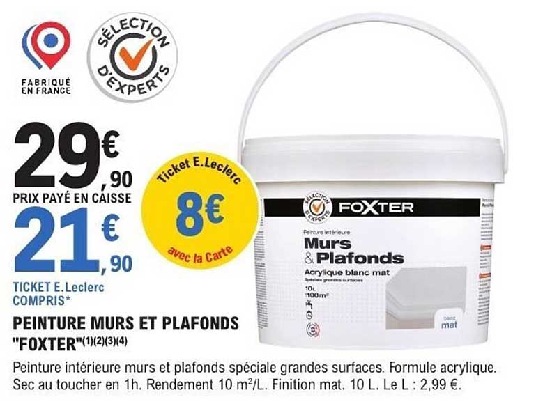 PEINTURE MURS ET PLAFONDS "FOXTER"