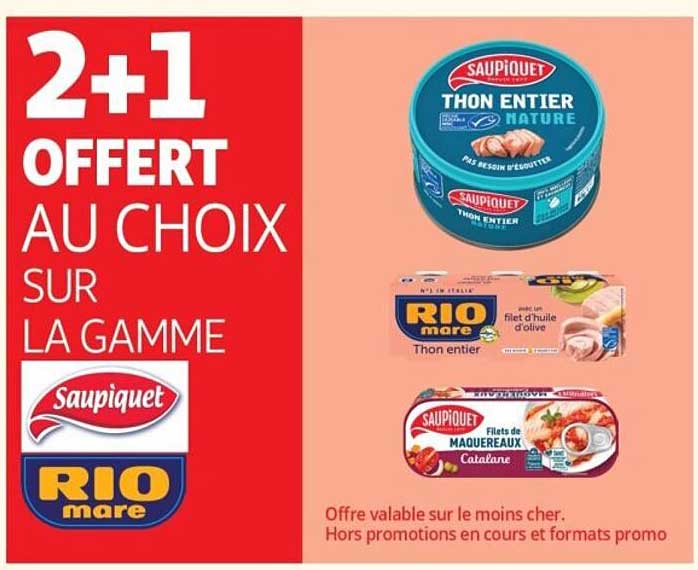 2+1 OFFERT AU CHOIX SUR LA GAMME