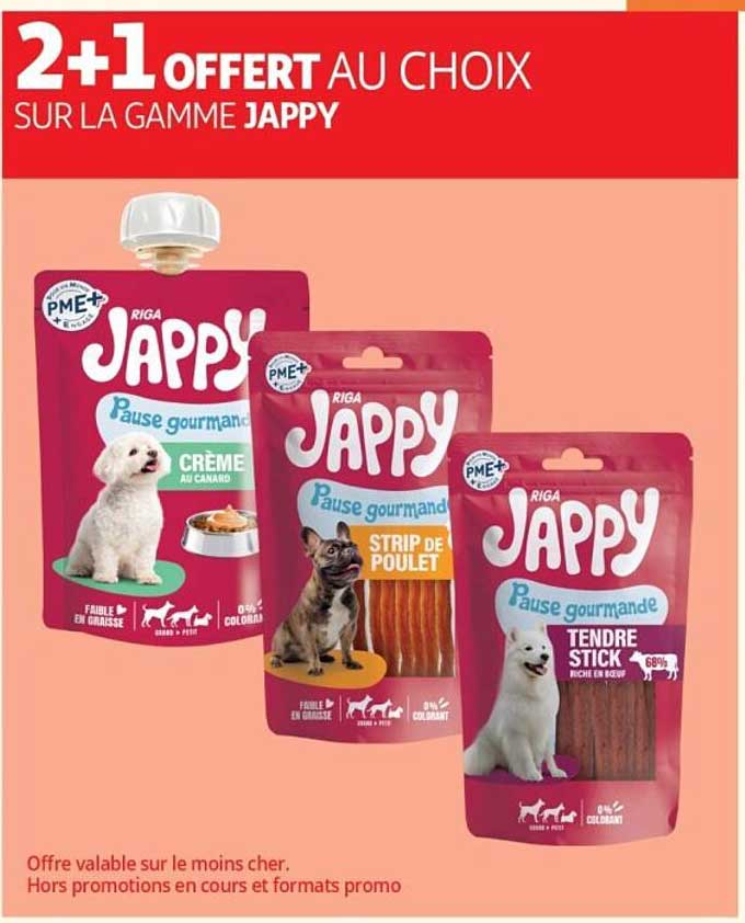 2+1 OFFERT AU CHOIX SUR LA GAMME JAPPY