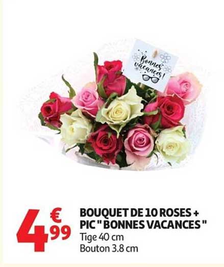 BOUQUET DE 10 ROSES + PIC "BONNES VACANCES"