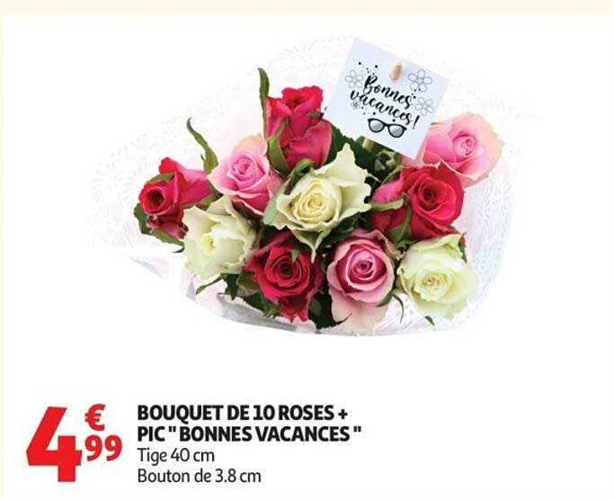 BOUQUET DE 10 ROSES + PIC "BONNES VACANCES"