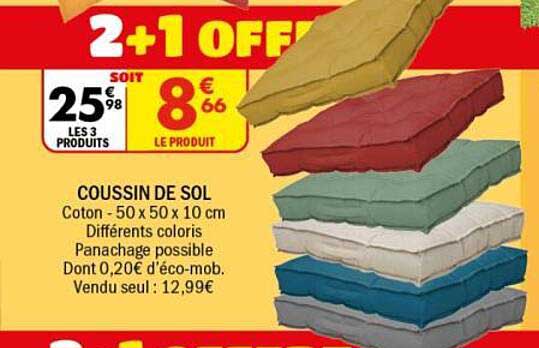 COUSSIN DE SOL