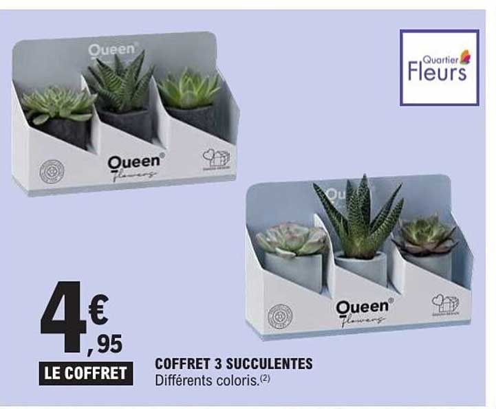 LE COFFRET
