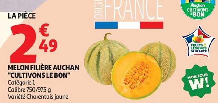MELON FILIÈRE AUCHAN "CULTIVONS LE BON"