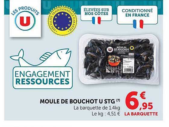 MOULE DE BOUCHOT U STG