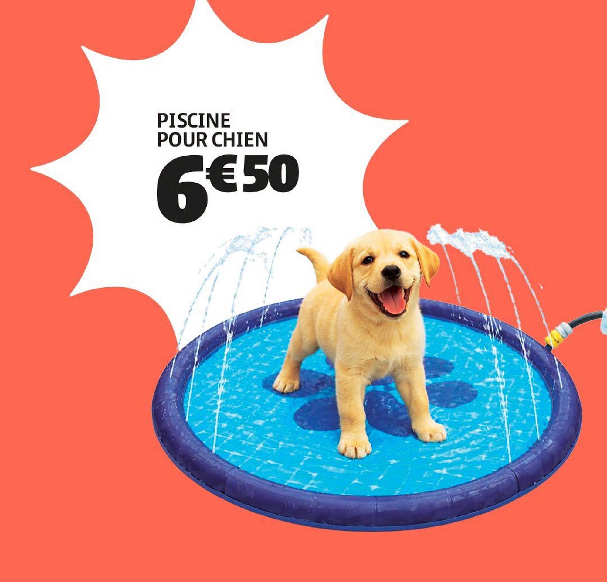 PISCINE POUR CHIEN