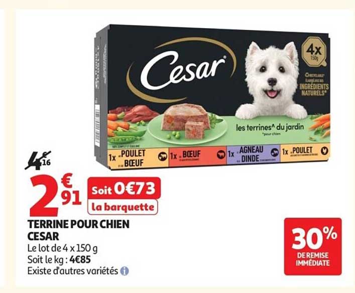 TERRINE POUR CHIEN CESAR