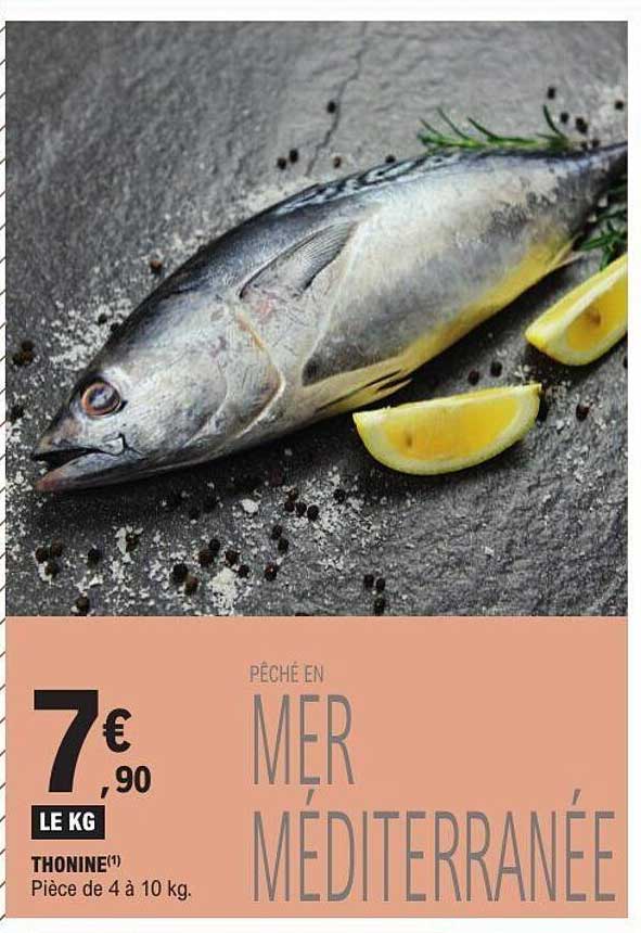 THONINE(1) Pièce de 4 à 10 kg. PÊCHÉ EN MER MÉDITERRANÉE