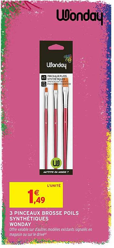 3 PINCEAUX BROSSE POILS SYNTHÉTIQUES WONDAY