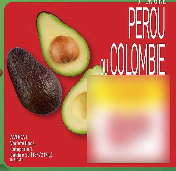 AVOCAT