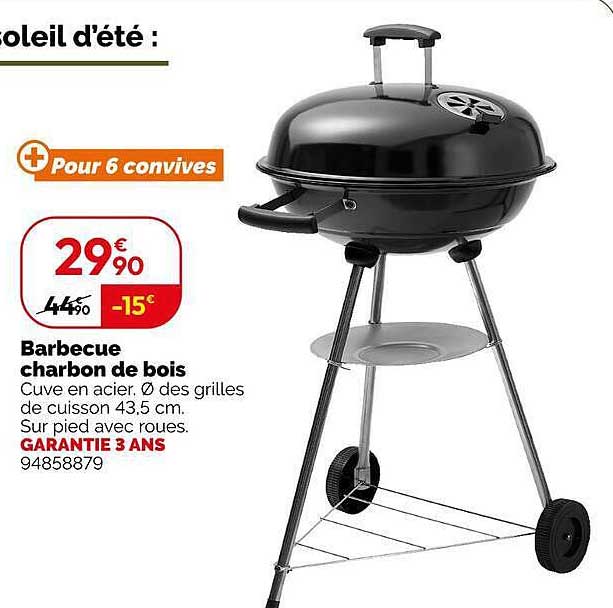 Barbecue charbon de bois