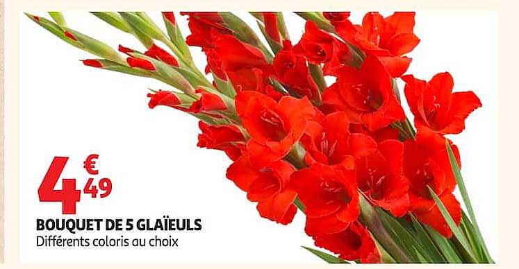 BOUQUET DE 5 GLAÏEULS