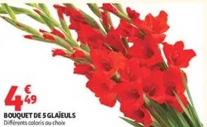BOUQUET DE 5 GLAÏEULS