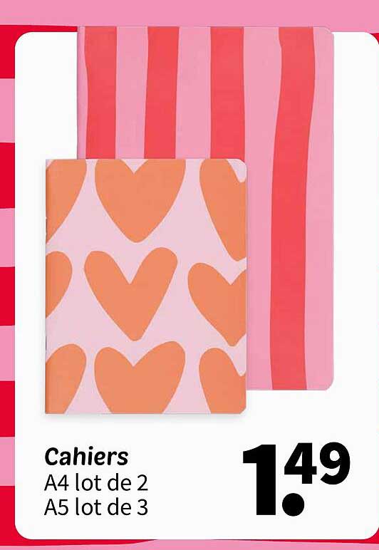 Cahiers A4 lot de 2 A5 lot de 3
