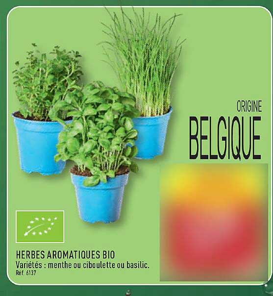 HERBES AROMATIQUES BIO
